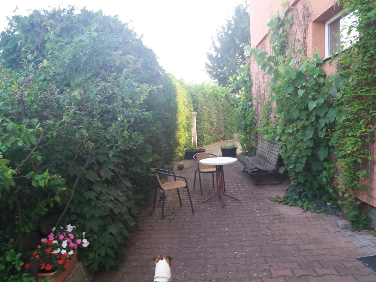 Apartman Na Skale Kostelec nad Orlicí Zewnętrze zdjęcie